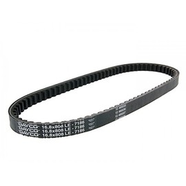 DAYCO 7186 V-Ribbed Belt