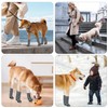Voarge Pack of 4 Dog Socks with Non-Slip, Socks for