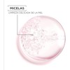Garnier Active Agua Micelar Desmaquillante para Todo Tipo de Piel