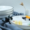1 PCS Ceramic Dinosaur Portion Control Plate Divided Dish for