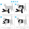 Angelpet Harness for Cats, Kittens, Puppies, Small Dogs, Walks, Outings,