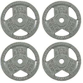 Fitvids Cast Iron Plate Weight Plate for Strength Training and Weightlifting, 1-Inch Center, 5LB (Set of 4)
