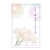 Funeral Thank You Cards 10 Cards, Funeral, Thank You Cards,