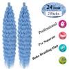 ocean wave crochet hair 24inDP-2-4020