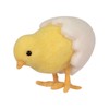 Northlight Hatching Egg Baby Spring Chick Easter Figurine - 4.5"
