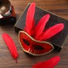 Ballinger Red Large Goose Feather Bulk for Crafts,120Pcs,6-8inch