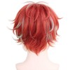 Cosplay Wig, Hypnosis Cosplay Wig, Heat Resistant, Costume Accessory, Festival