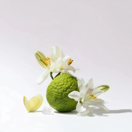 Levona Scent Essential Oil - Fresh Aroma for Home, Office, Hotel & Spa, Ideal for Humidifiers & Diffusers, Hotel Fragrance with Bergamot, Lemon & Lemongrass - 500ml / 17 fl oz, 24K Allure