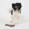 SPOT Bam-Bones Wishbone - Made with Strong Bamboo Fiber, Durable