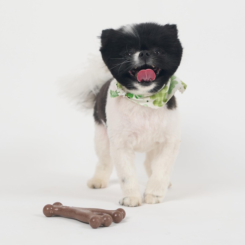 SPOT Bam-Bones Wishbone - Made with Strong Bamboo Fiber, Durable