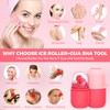Ice Roller for Face,Gua Sha Facial Tool 2pcs Set,Updated Roller