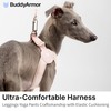BuddyArmor Ultra Comfortable Dog Harness Adjustable Soft Dog Vest, Alloy