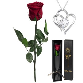 Yamonic Gifts for Women Christmas, Infinity Rose with Stem, Eternal Rose with Heart Necklace Gifts for Mum, Real Rose with Chain for Women, Preserved Flower for Valentine's Day/Mother's Day