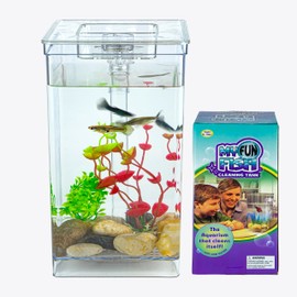 Small Fish Tank one Gallon Square, Easy Setup and Maintenance, with LED Lighting, Decor Stones and Plastic Tree Ornament, Perfect Starter Kit