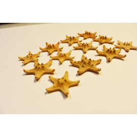 50 Natural "Chocolate Chip" Starfish for Beach Wedding Crafts and Decor 1 1/2"- 2" (38-50 mm) Nautical Coastal Beach Cottage Decor
