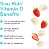 SISU Kids Vitamin D3 1,000 IU,Strawberry Banana
