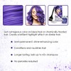 Punky Color Box Kit Violeta – Para cabello blanqueado, rubio