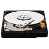 WD AV-25 1TB Internal Hard Drive