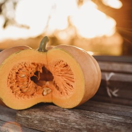 Long Island Cheese Squash - 25 Seeds - Heirloom Squash Variety, Sweet Orange Interiors, Great for Pies & Baking, Non-GMO Winter Squash Seeds for Planting in The Home Garden, Thresh Seed Company