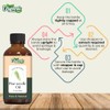 Organic Zing Pine Needle Essential Oil Pure & Natural for