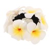 PACKOVE Hawaiian Flower Hair Tie for Women Thick Elastic Hair
