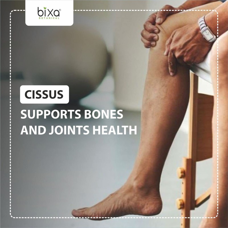 Cissus Powder (Cissus Quadrangularis/Hadjod) (200g / 7 Oz), Supports Bone