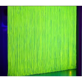 Nenluny 2 Pack Glow in The Dark Neon Party Fluorescent Macaron Yellow Tinsel Foil Fringe Curtains Photo Booth Prop Backdrop Streamer for Neon Birthday Party Decorations (Fluorescent Yellow)