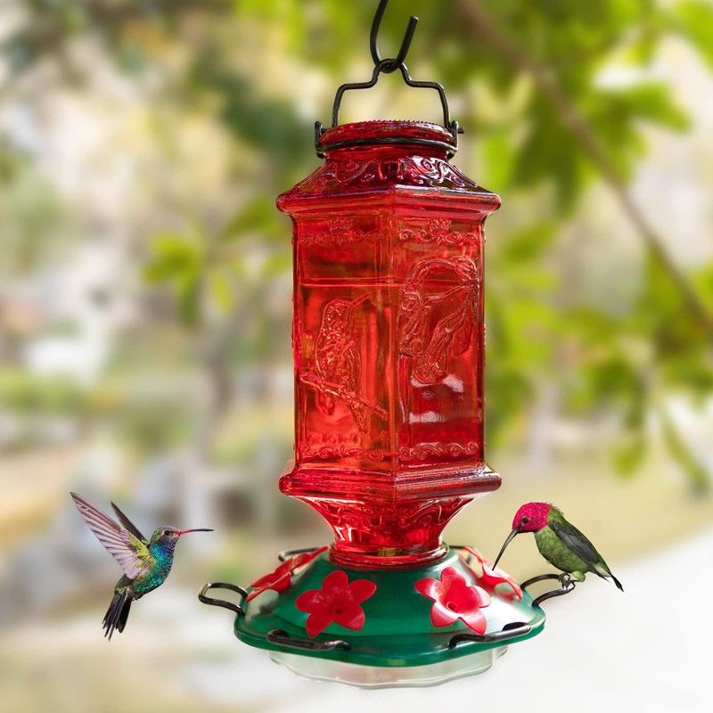 Billion Sky Hummingbird Feeder for Outdoors, Lantern Shaped Bottle, 6
