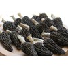 Jumbo Dried Morel Morchella Mushroom Crop Top Grade Premium Quality