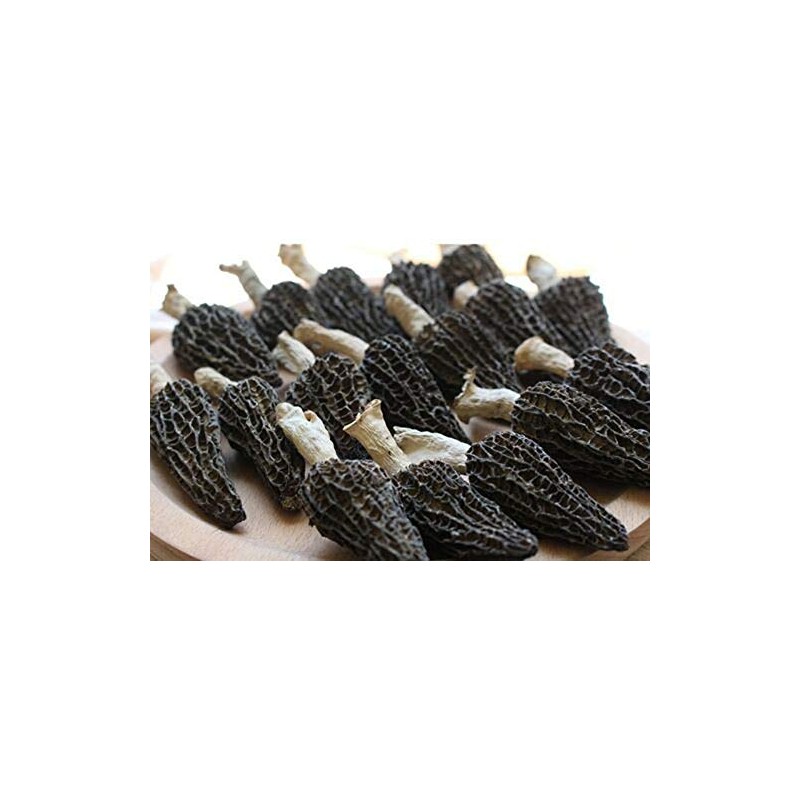 Jumbo Dried Morel Morchella Mushroom Crop Top Grade Premium Quality