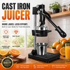 Shcazhcx Cast Iron Juicer, Fruit Squeezer with Stainless Steel Parts