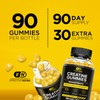 Effective Nutra Creatine Monohydrate Gummies - 1g Creatine per Gummy