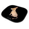 Mr. & Mrs. Panda Car Sun Shade Donkey Gift Life