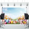 DASHAN 7x5ft Easter Eggs Backdrop for Photography Spring Flowers Easter