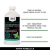 Liquid Greens Chlorophyll Activated Charcoal Mint 450ml - Balance pH,