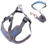 Wocharm Dogs Breathable Harness with Leash Adjustable Outdoor Walking Pet