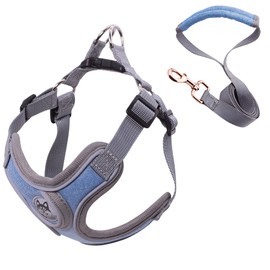 Wocharm Dogs Breathable Harness with Leash Adjustable Outdoor Walking Pet Puppy Vest （S,Blue）