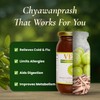 VEDA Premium Chyawanprash (Sugar Free) | 16.7 Oz | Ayurvedic