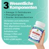 Omega 3 Capsules Fatty Acids from Krill Oil, , ,