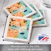 Thirstystone North Carolina Home 4-Pack Absorbent Stone Coasters with Protective