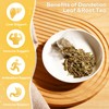 100 Count Pure Dandelion Leaf & Root Tea Bags –Liver
