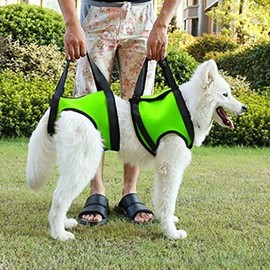 Umora Nursing Harness Walking Aid for Dogs Adjustable (Orange M)