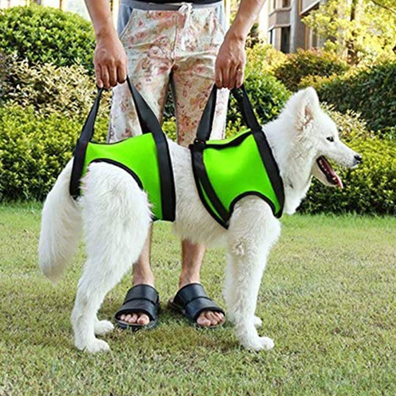 Umora Nursing Harness Walking Aid for Dogs Adjustable (Orange M)