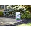 Scotts WeedEx Southern, Weed Killer Controls Dollarweed, Clover, and More,
