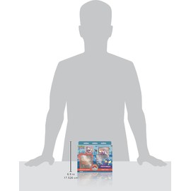 Pokémon TCG: World Championships Deck – Sebastian Lashmet (2022)