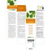 Silver Linden (Tilia tomentosa) Alcohol-Free Bud Extract from Fresh Buds