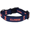College Dog Collar (Large, Illinois)