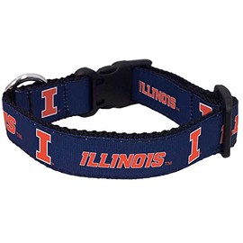 College Dog Collar (Large, Illinois)