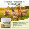 Selenium and Vitamin E Powder for Chickens – Boost Immunity,