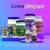 Colágeno Hidrolizado Cahuenga 500 Mg, 120 Cápsulas.